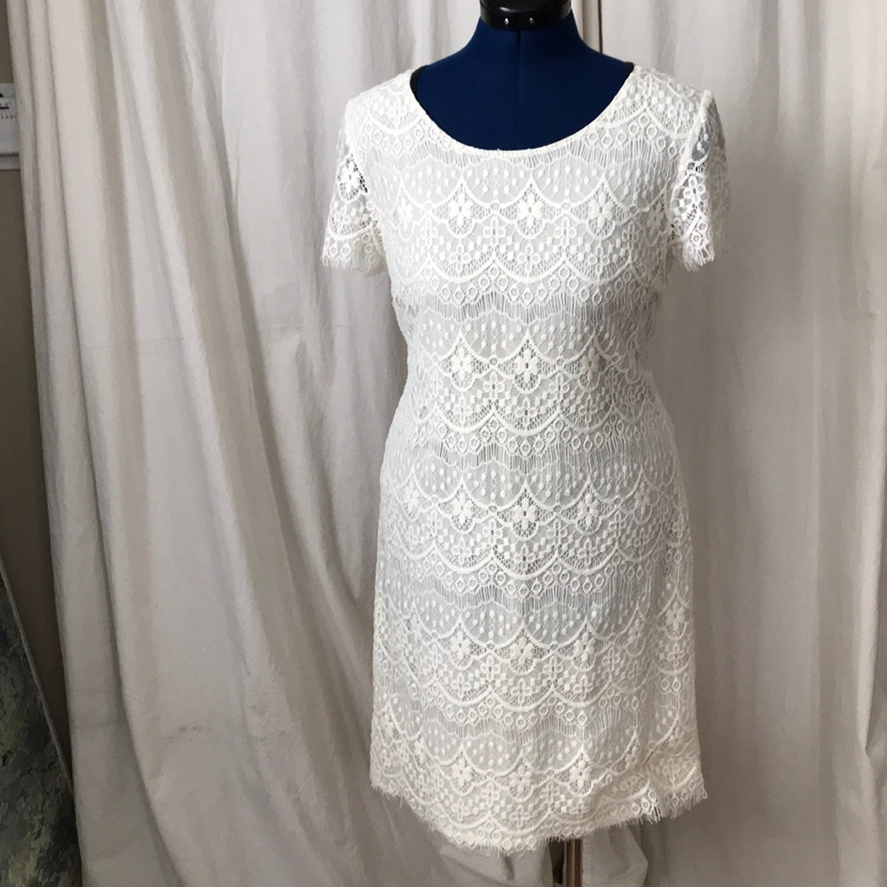 Anthropologie pinkyotto cream lace dress szL